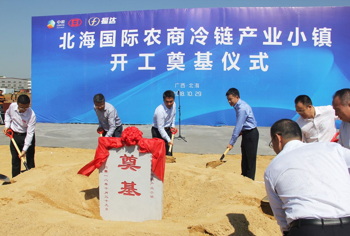 问鼎app官方下载