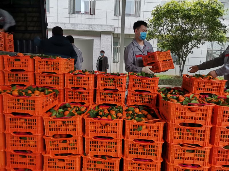 问鼎app官方下载