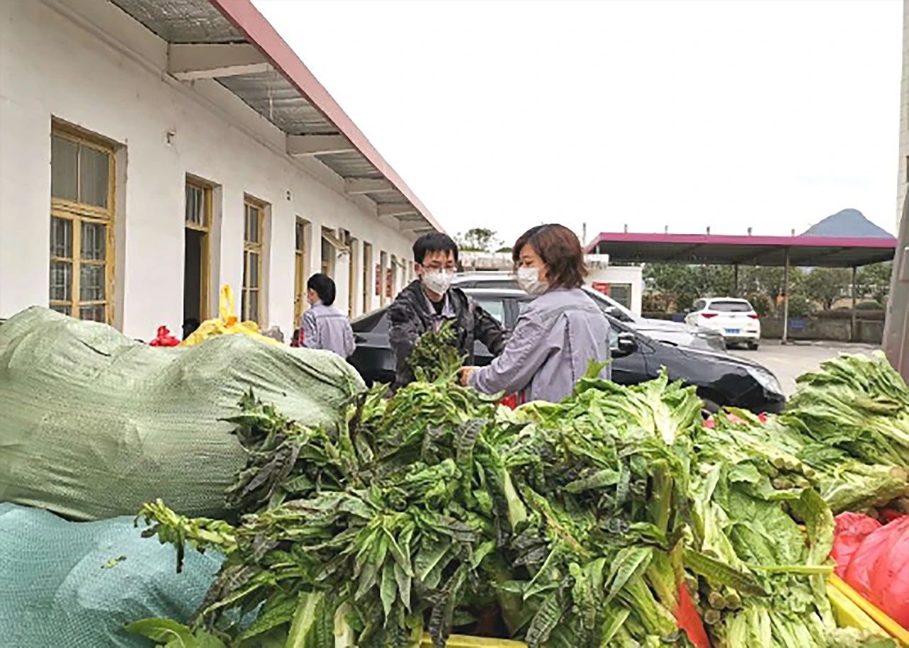 问鼎app官方下载