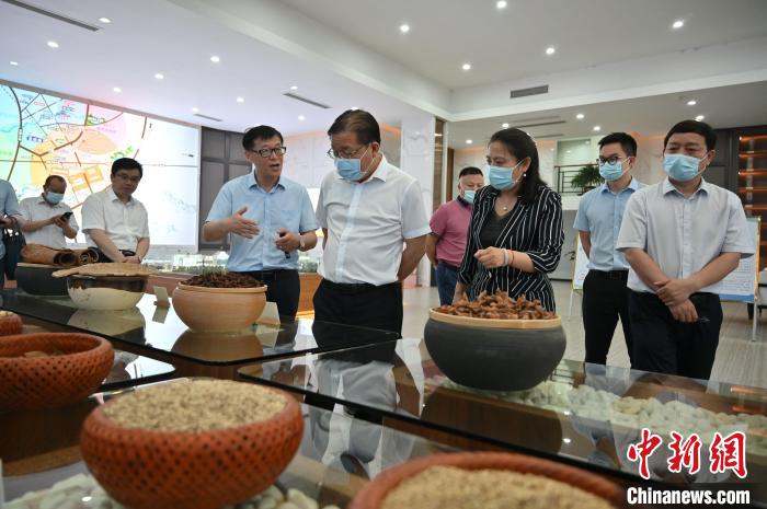 问鼎app官方下载