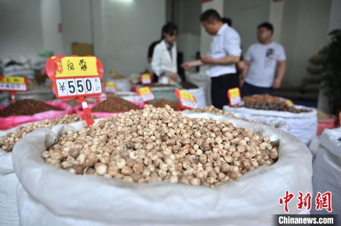 问鼎app官方下载