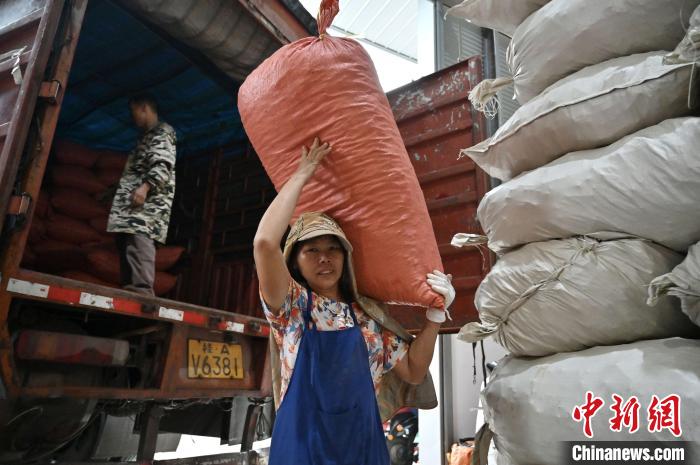 问鼎app官方下载