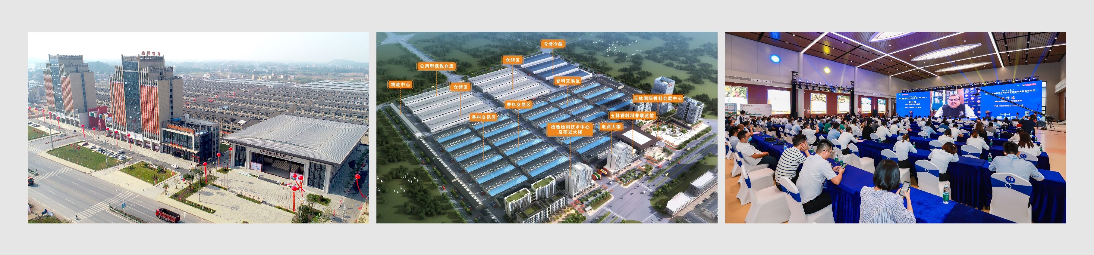 问鼎app官方下载