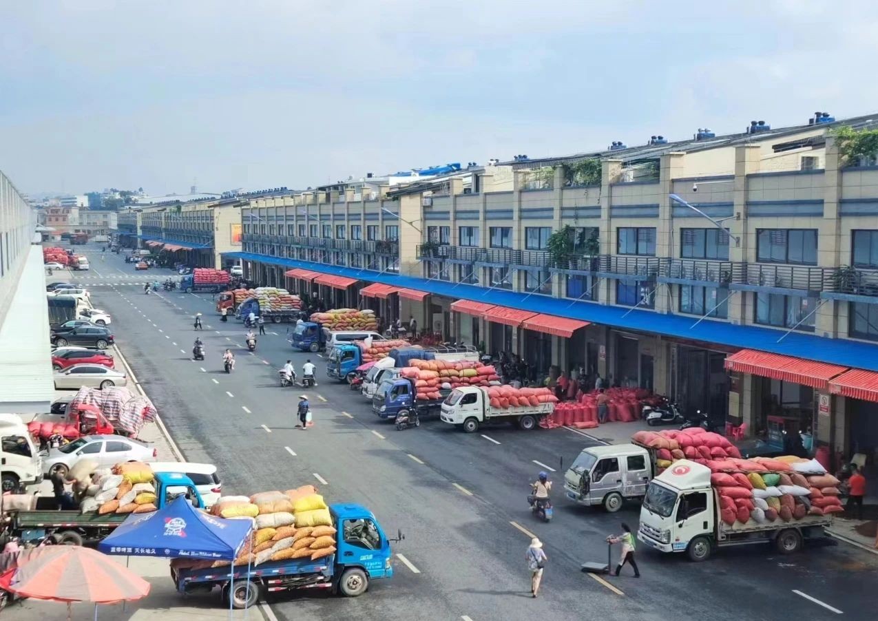 问鼎app官方下载