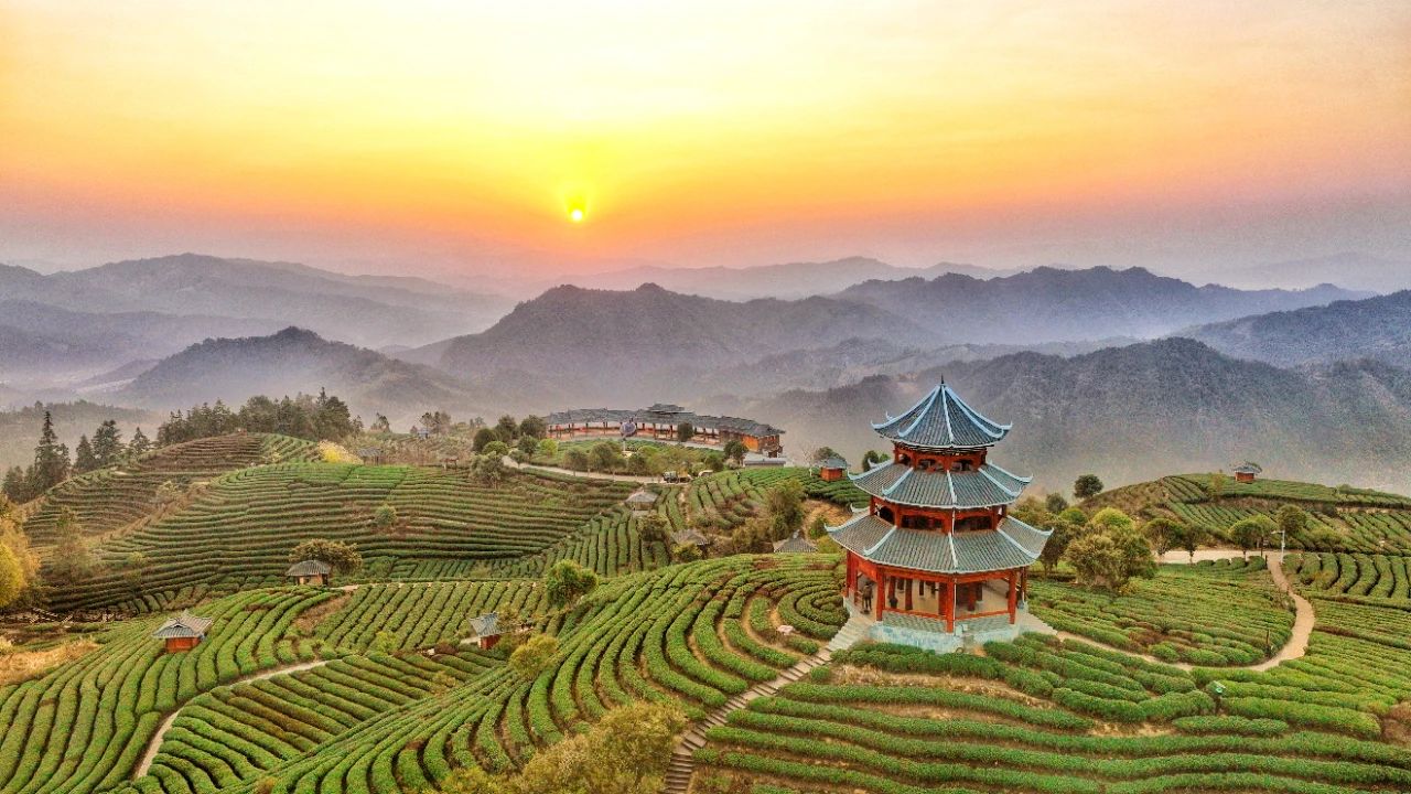 问鼎app官方下载