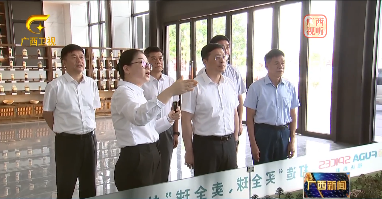 问鼎app官方下载