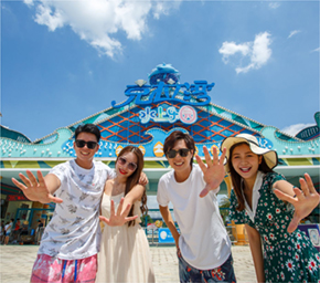 问鼎app官方下载