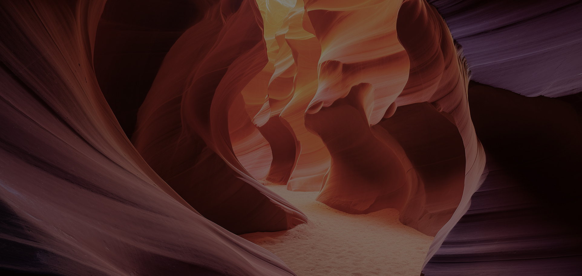 问鼎app官方下载