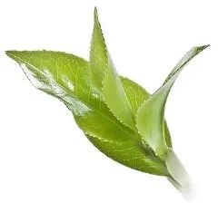 【天工奖】作品赏析|长沙麓溪云境282㎡叠墅,伴隐自然·麓溪和鸣