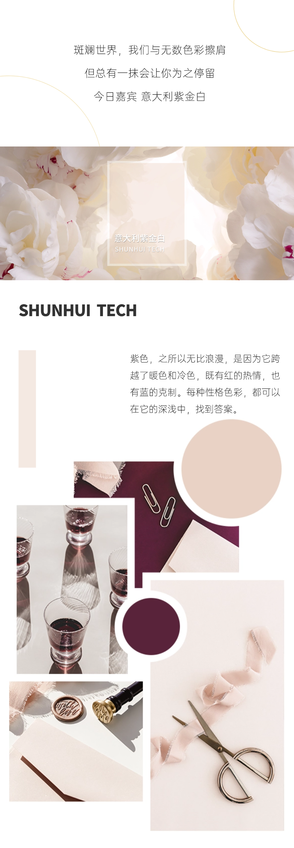 80度高白透光|顺辉天成岩板2024秋季新品推荐·意大利紫金白