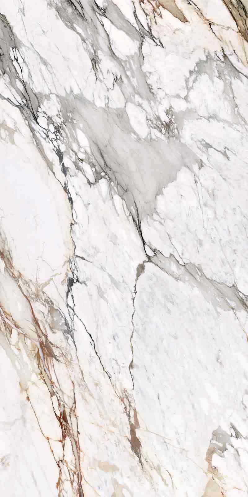 问鼎app官方下载