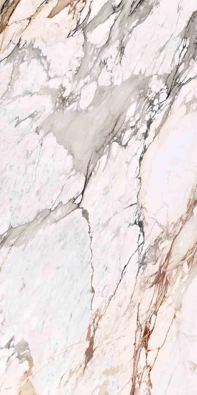 问鼎app官方下载