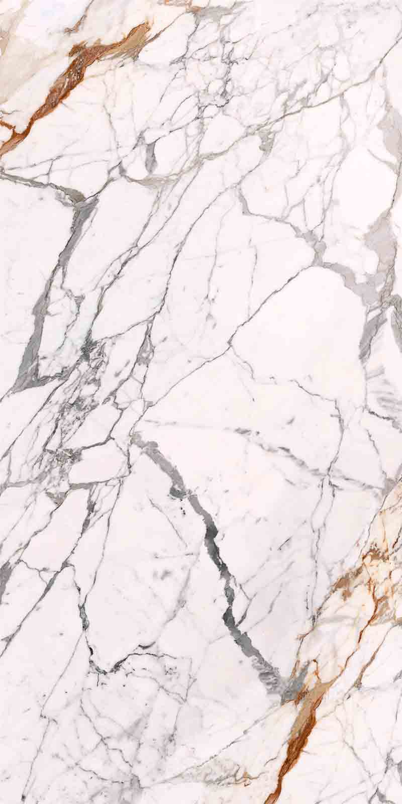 问鼎app官方下载