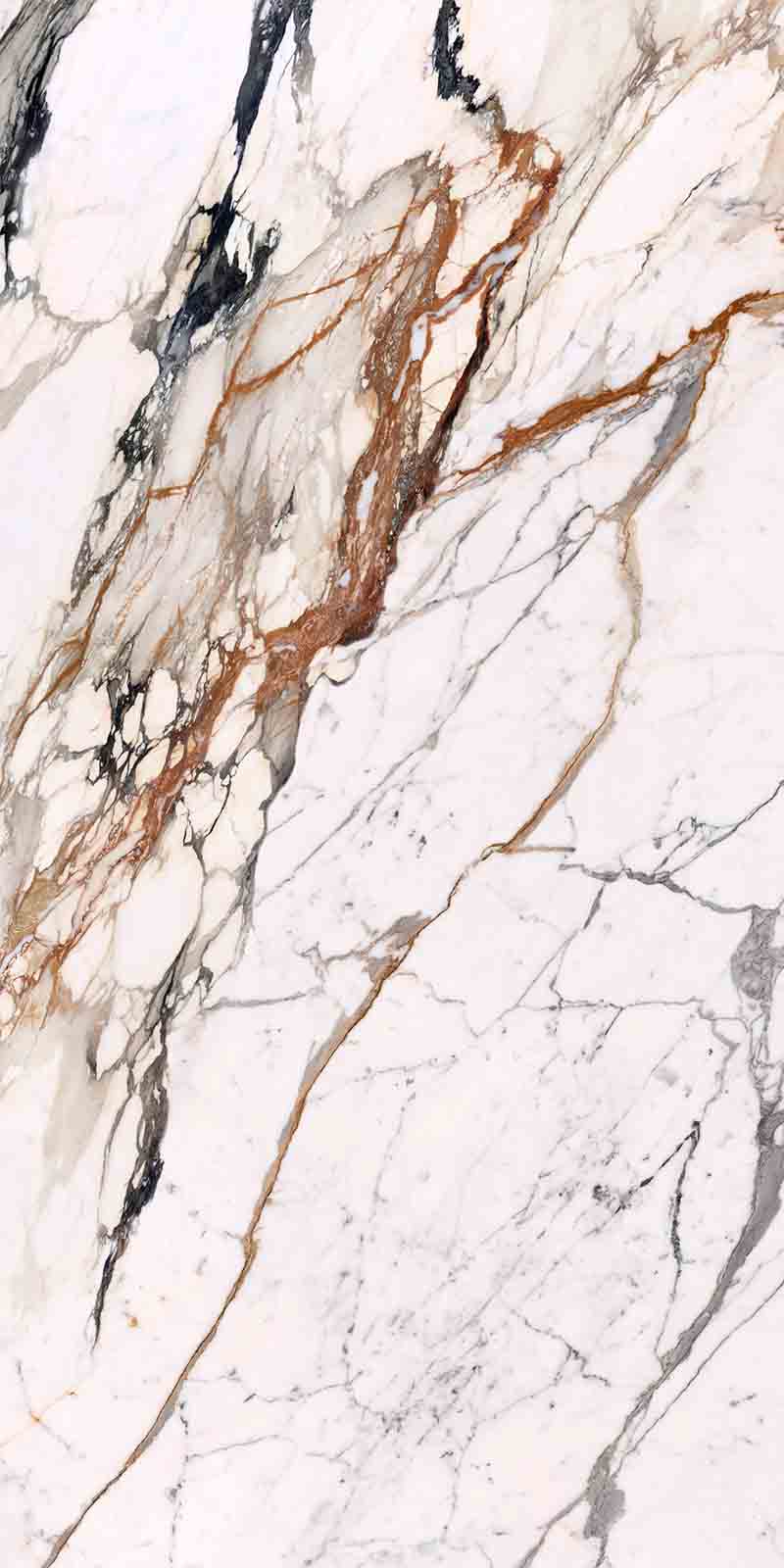 问鼎app官方下载