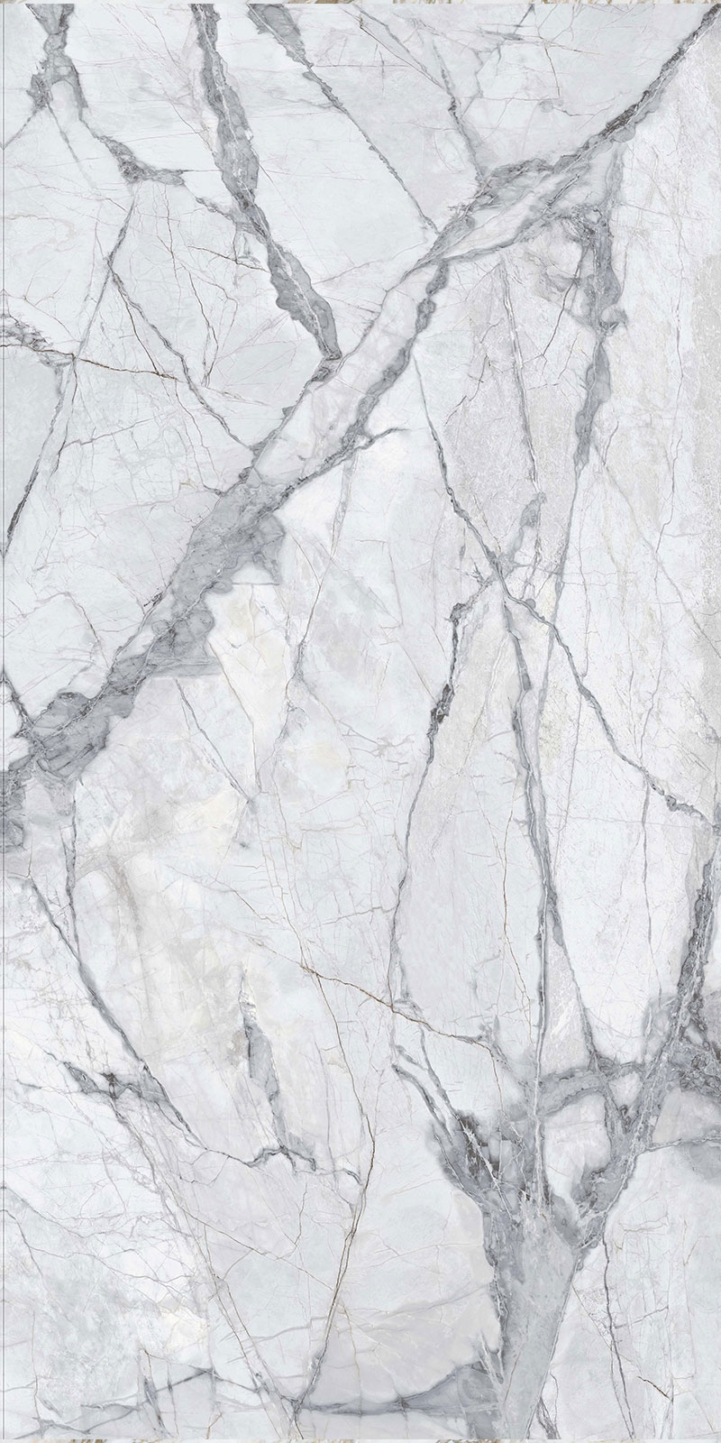 问鼎app官方下载