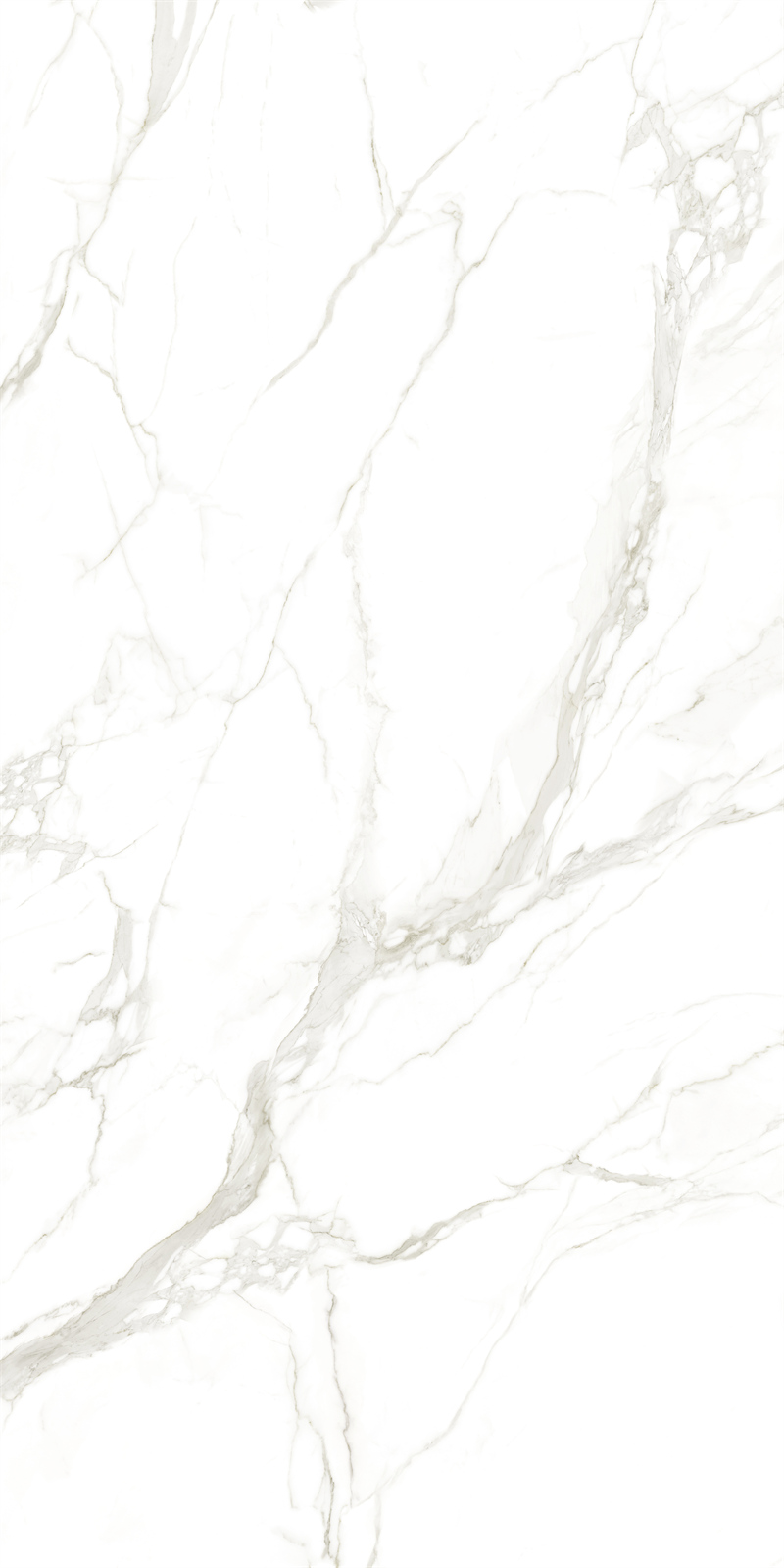 问鼎app官方下载