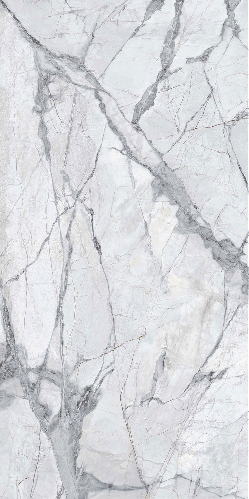 问鼎app官方下载