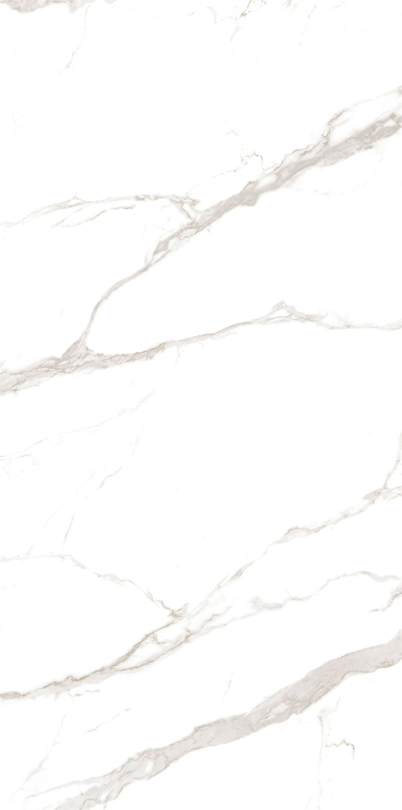 问鼎app官方下载