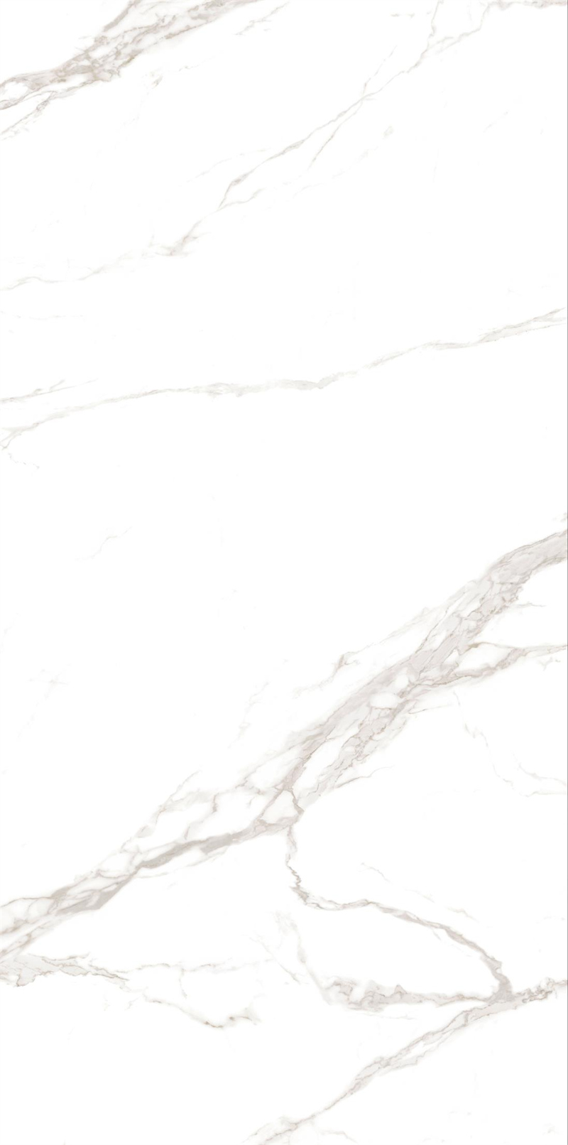 问鼎app官方下载