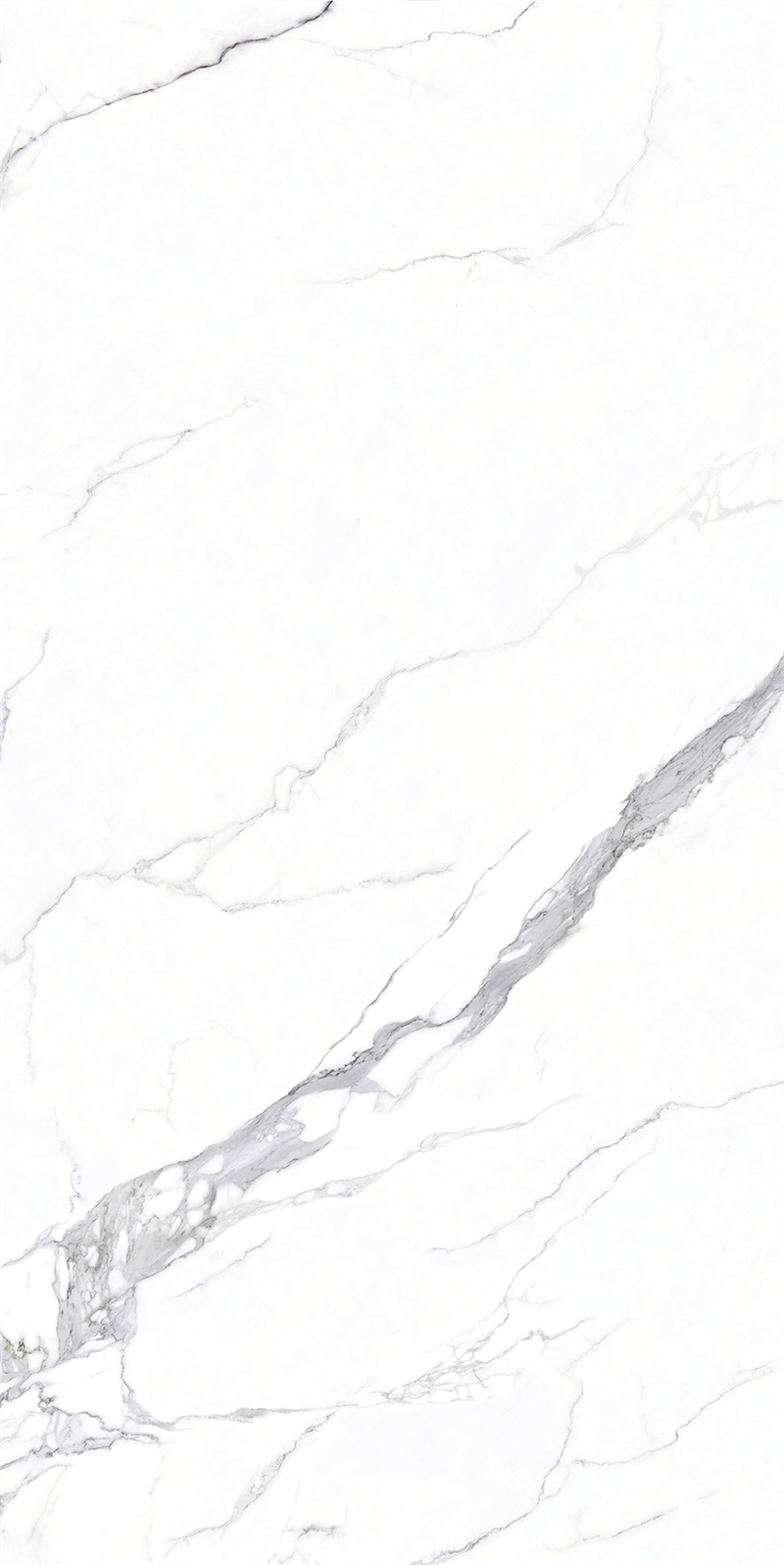 问鼎app官方下载