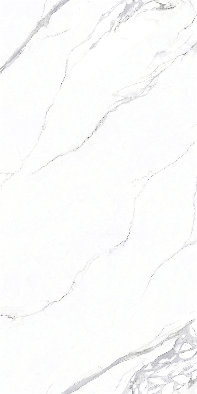 问鼎app官方下载