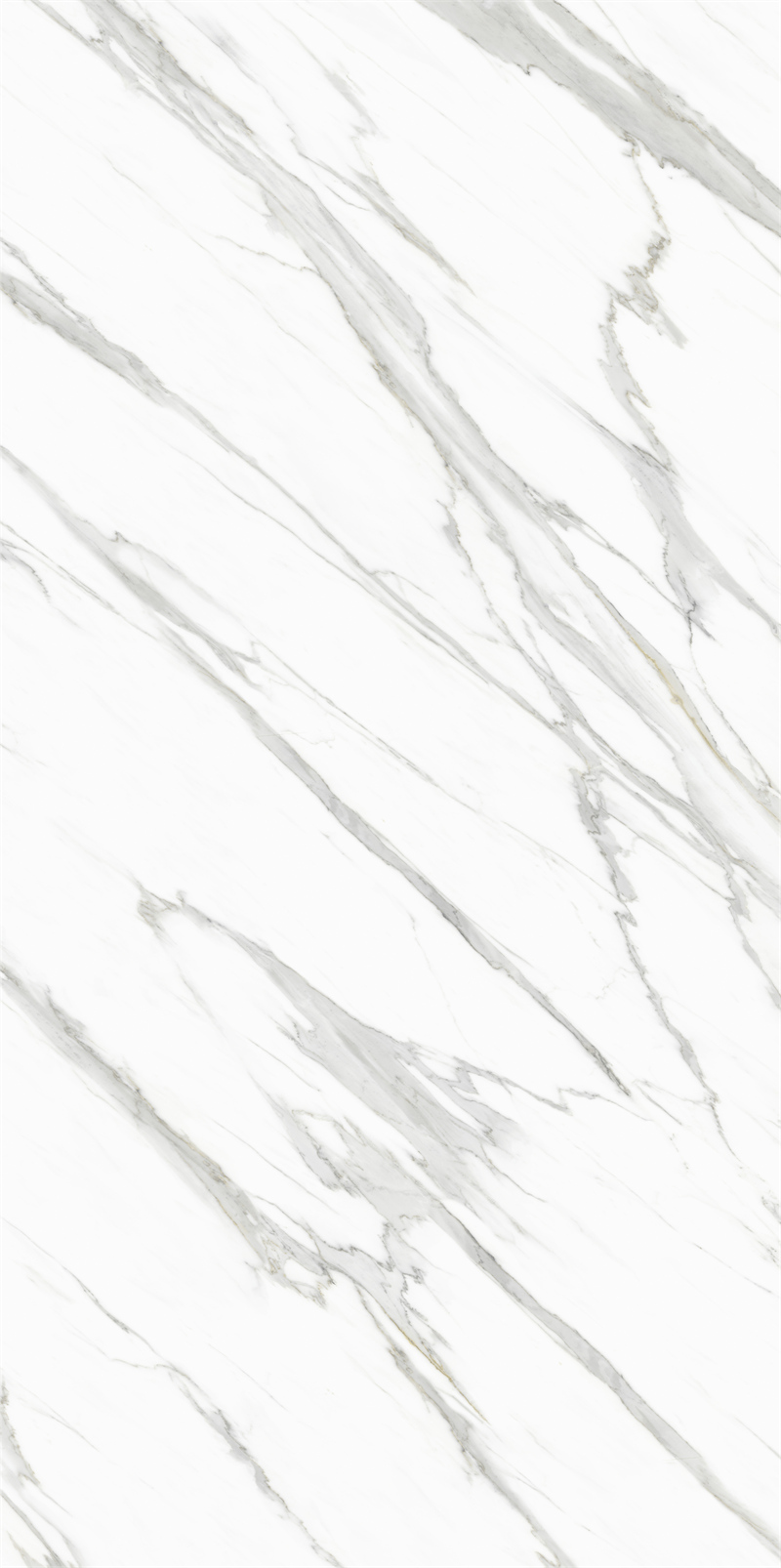 问鼎app官方下载