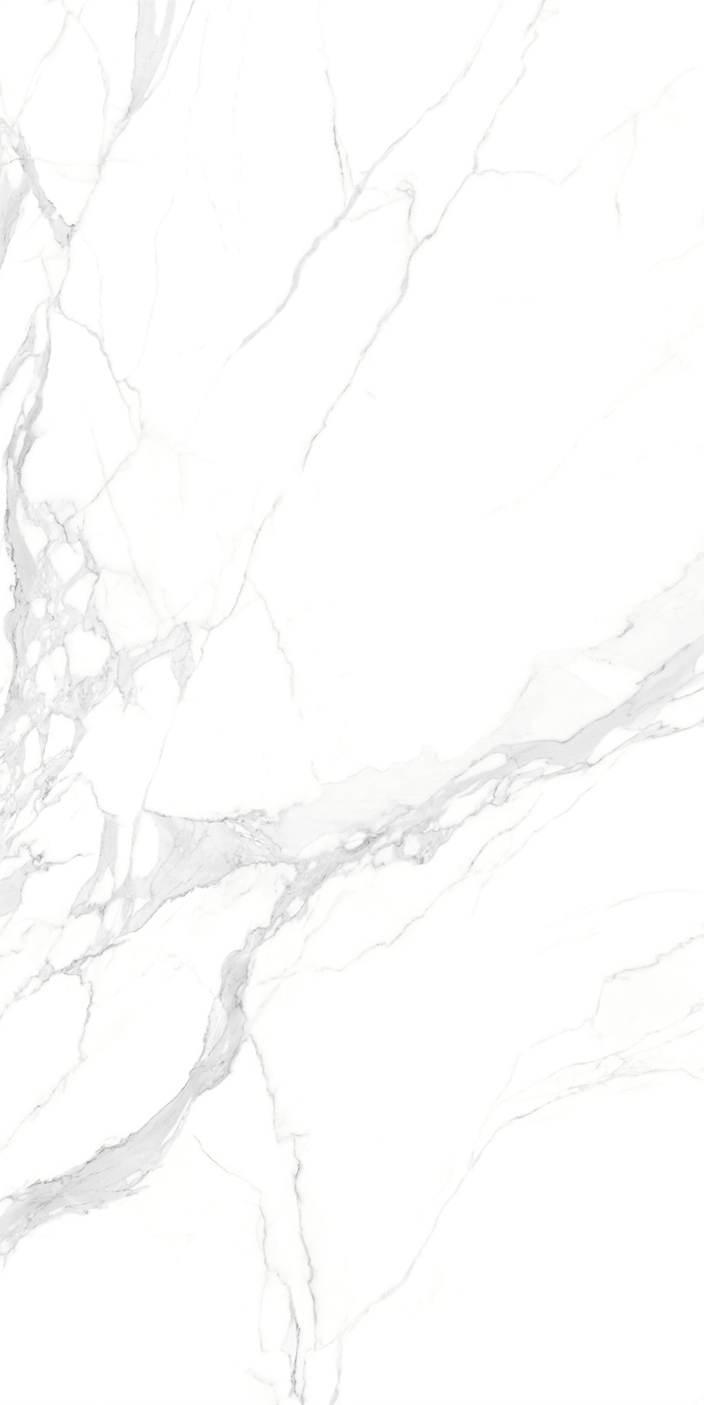 问鼎app官方下载