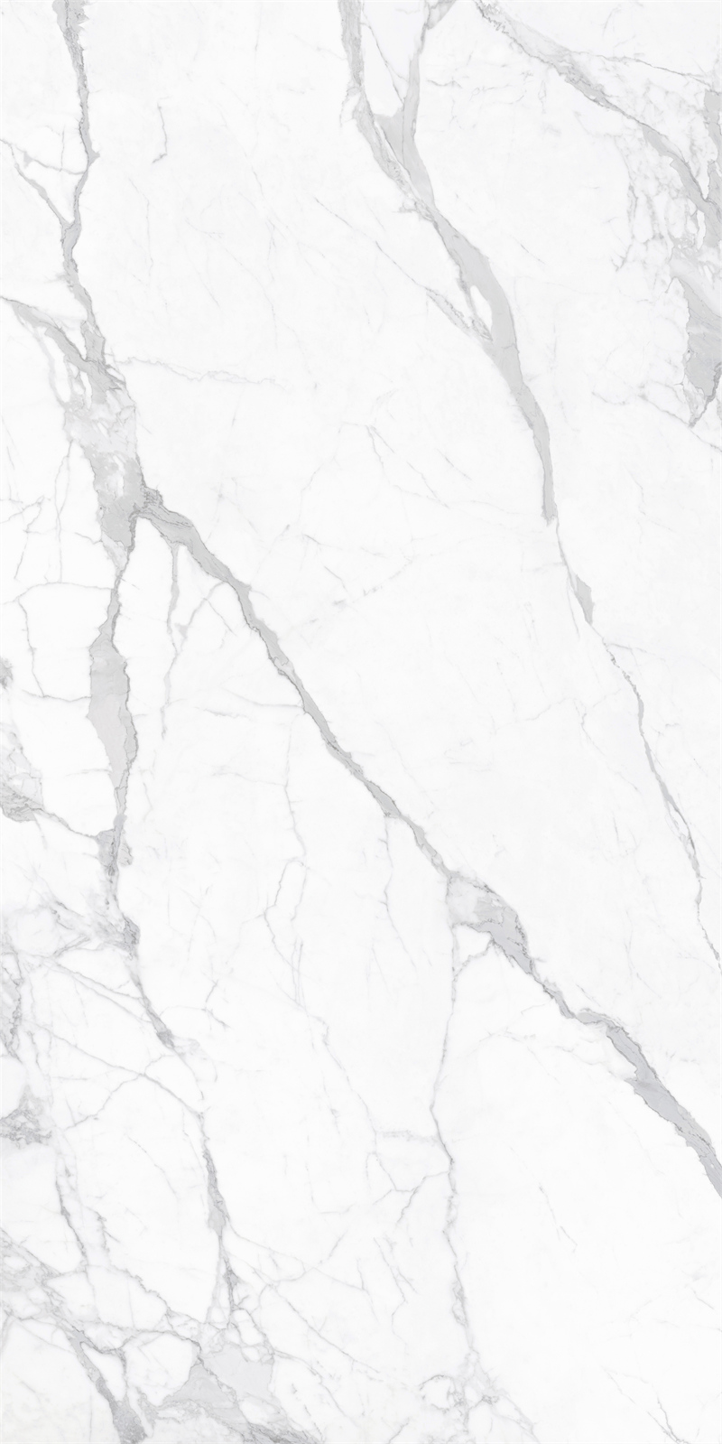 问鼎app官方下载