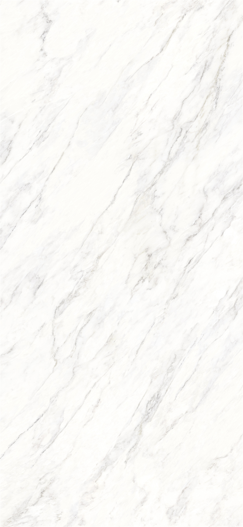 问鼎app官方下载