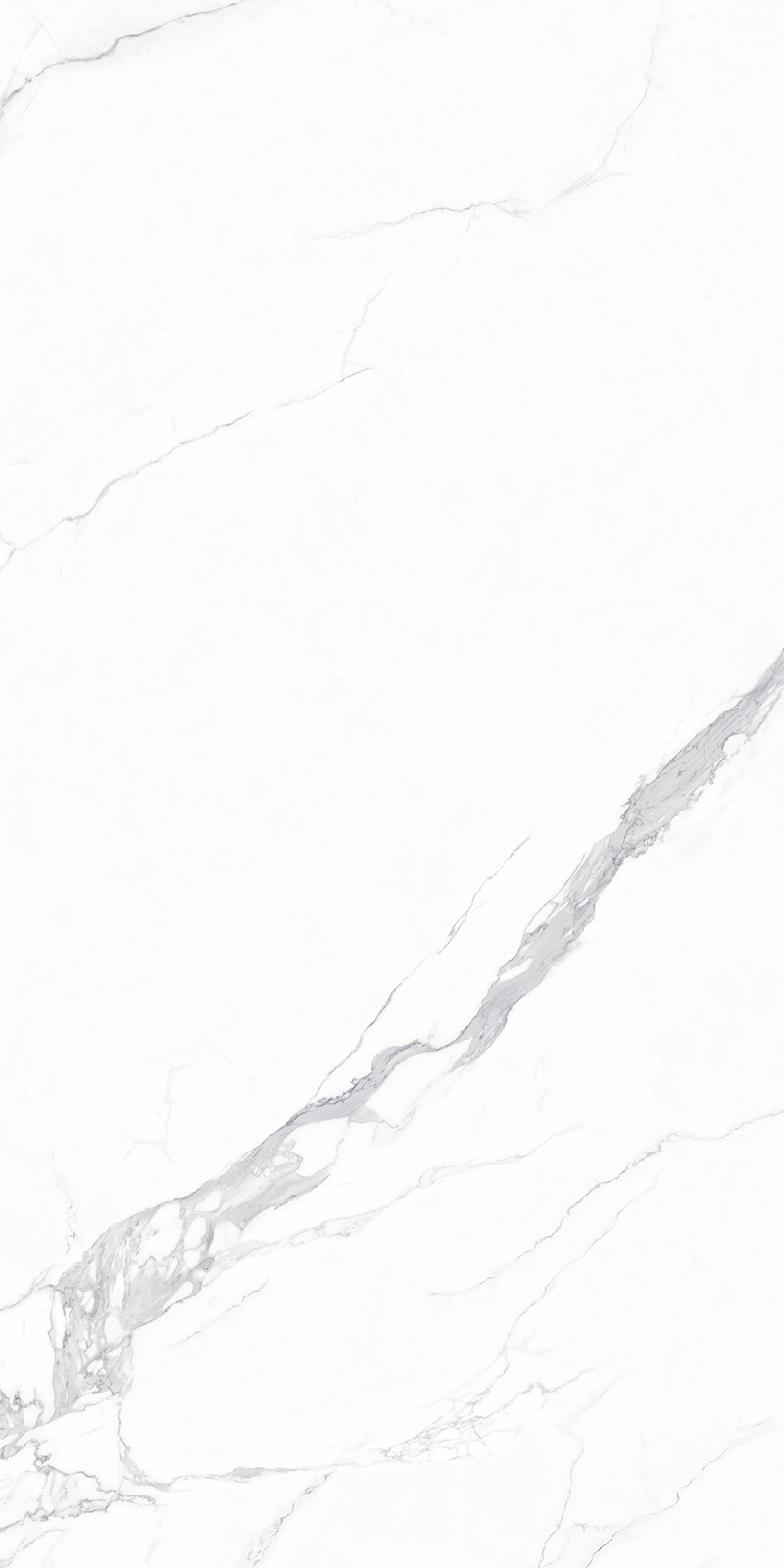 问鼎app官方下载