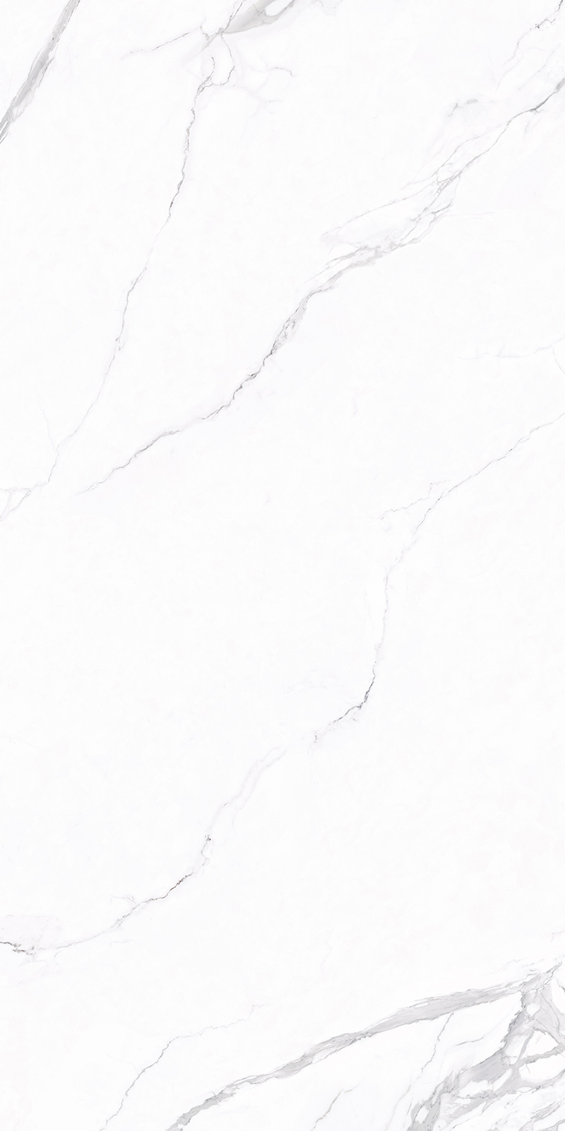 问鼎app官方下载