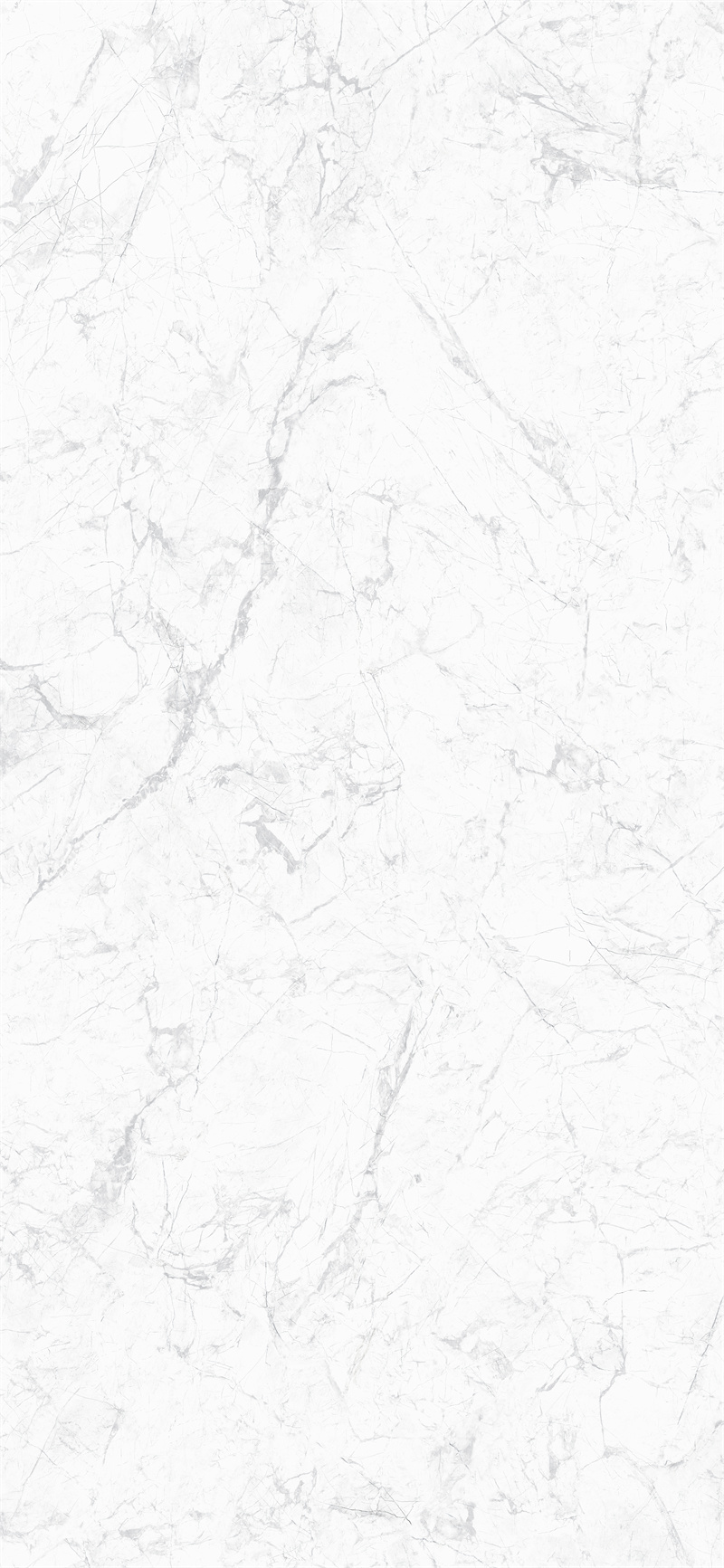 问鼎app官方下载