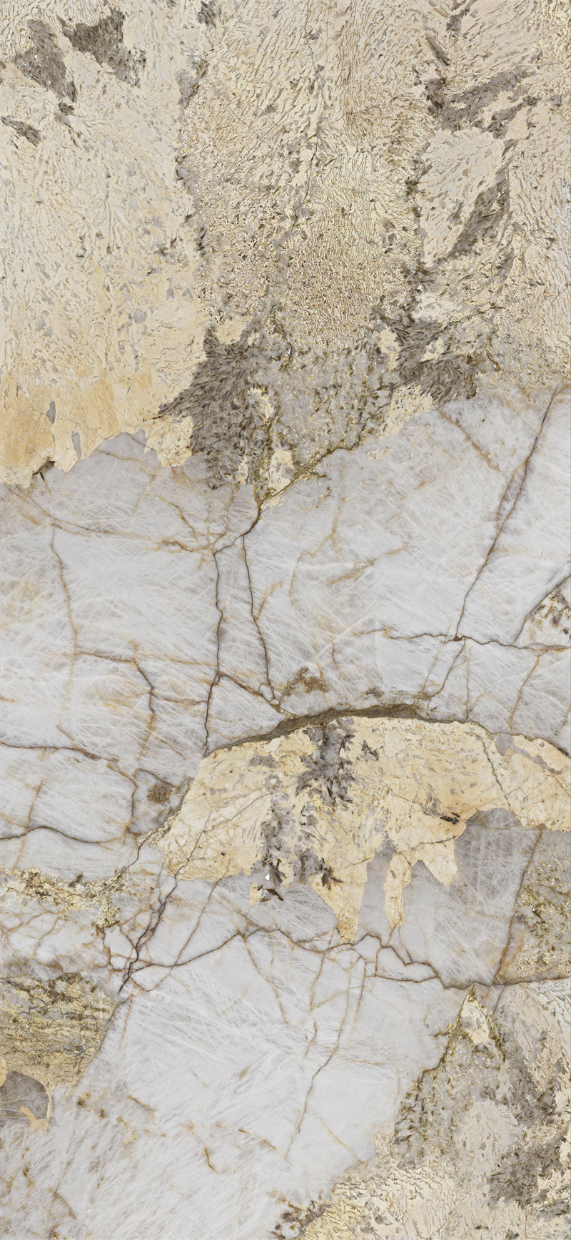 问鼎app官方下载