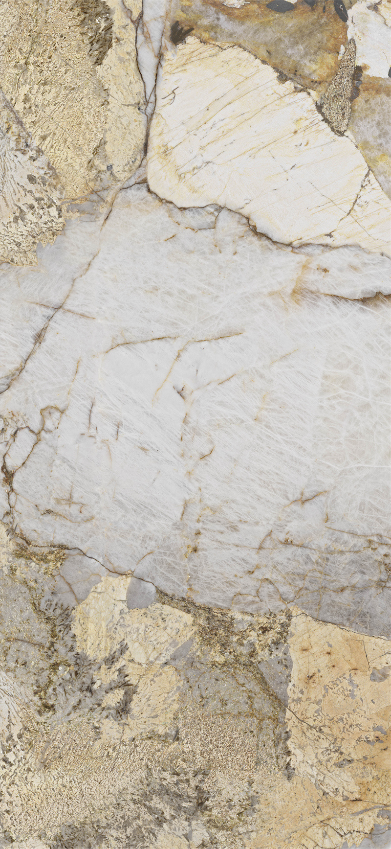 问鼎app官方下载