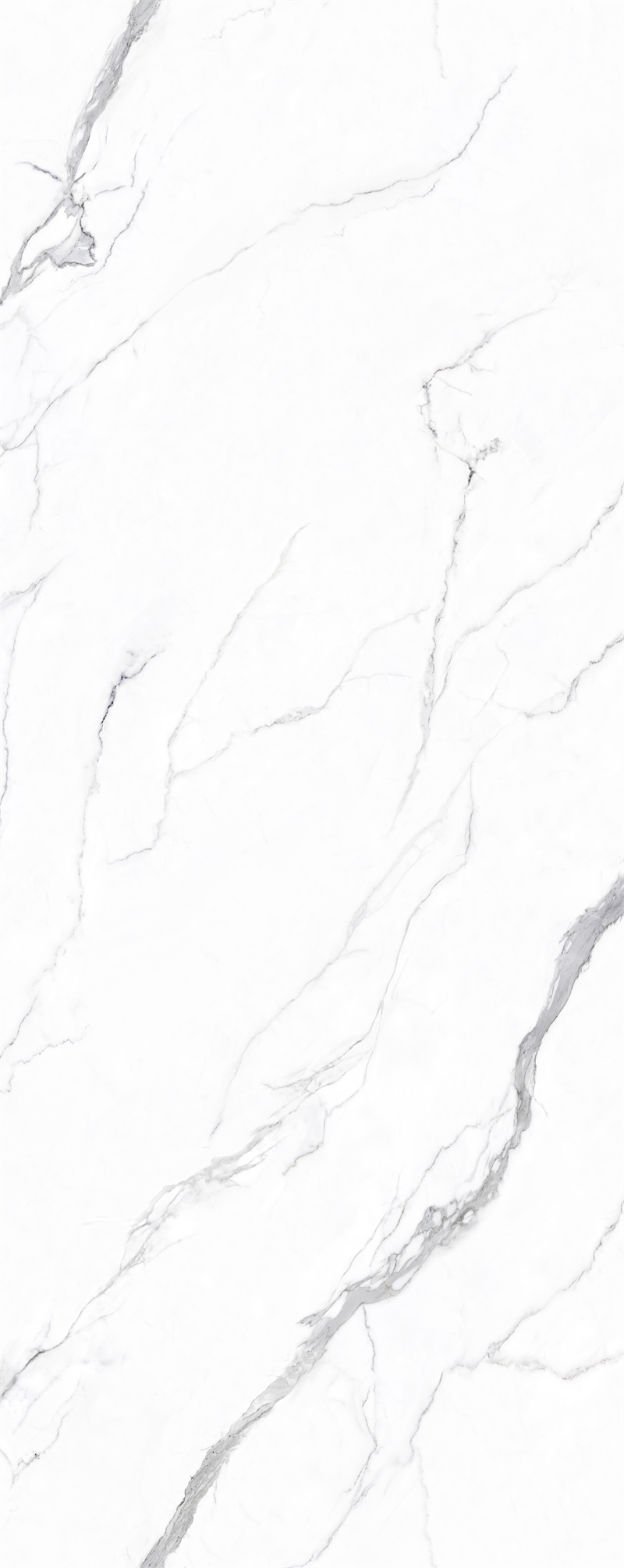 问鼎app官方下载