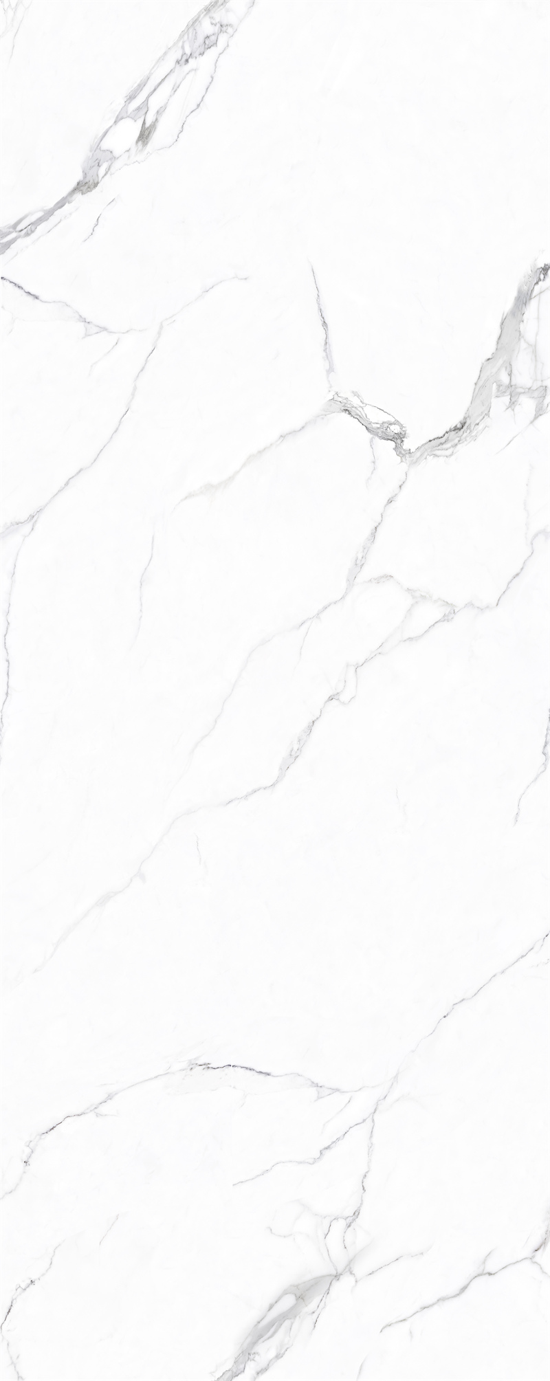 问鼎app官方下载