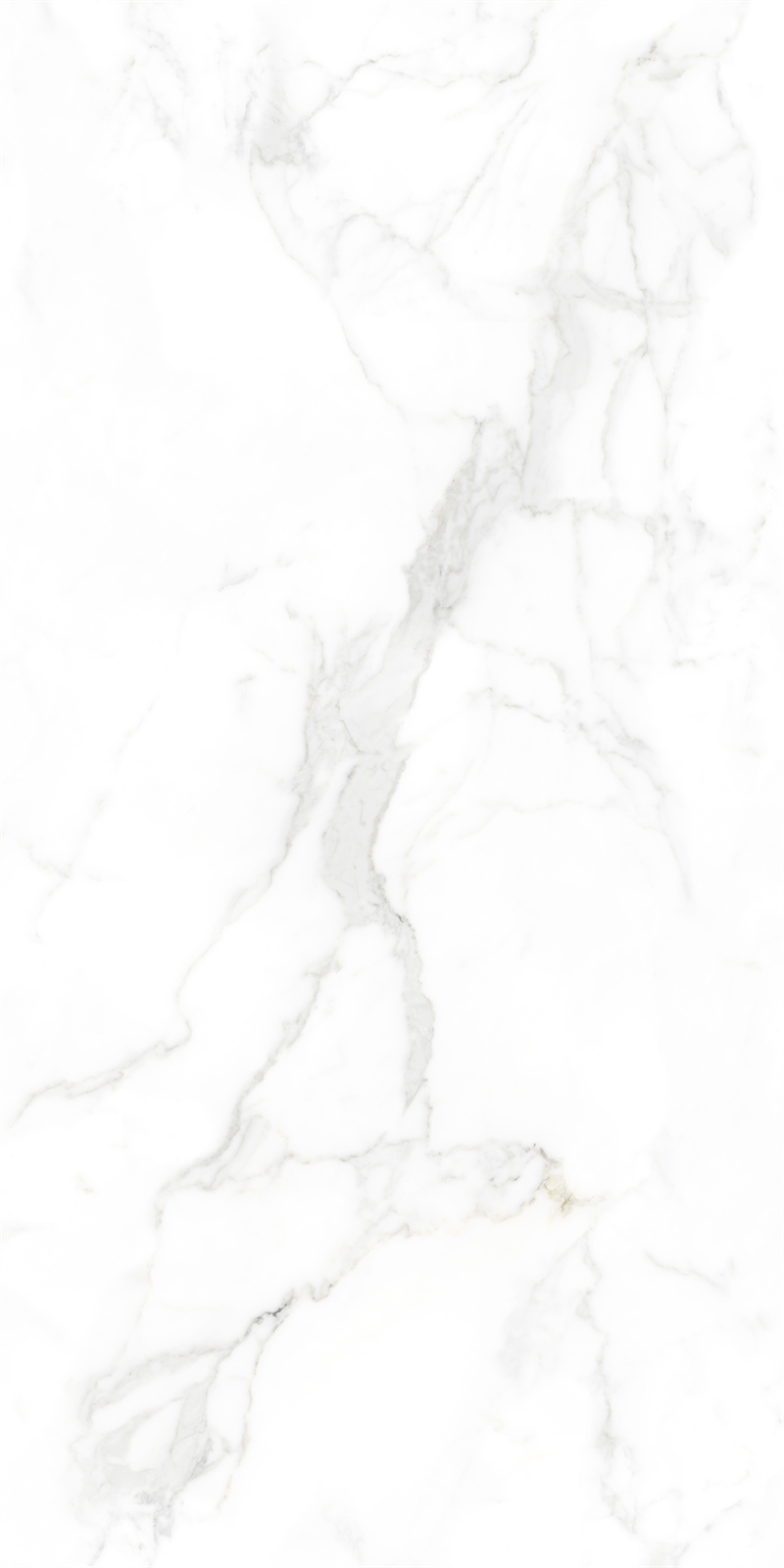 问鼎app官方下载