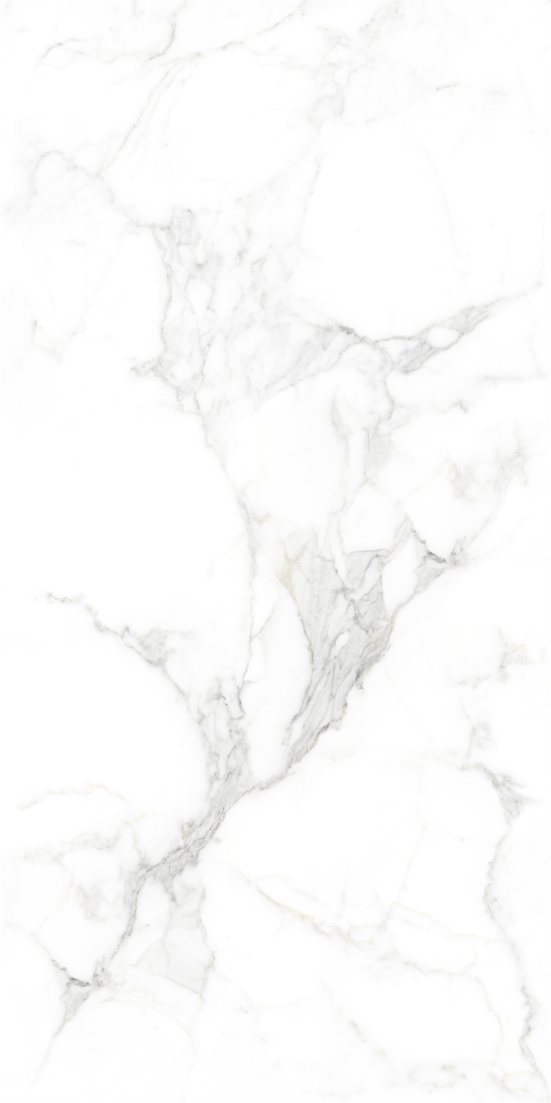 问鼎app官方下载