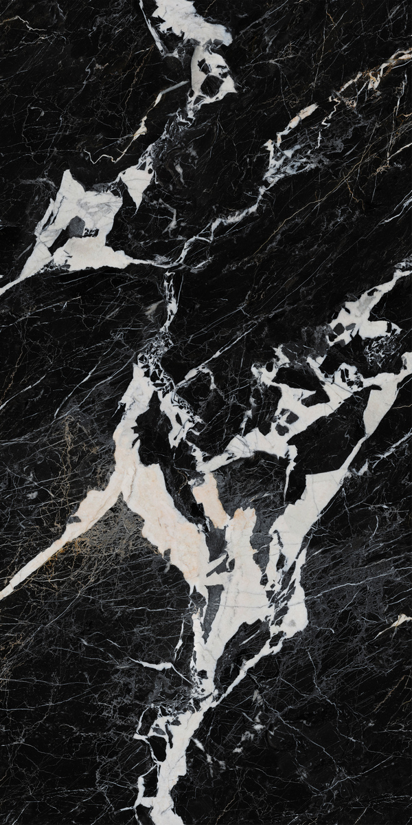 问鼎app官方下载