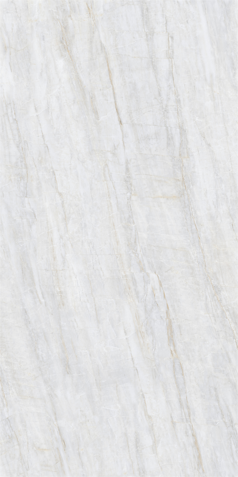 问鼎app官方下载