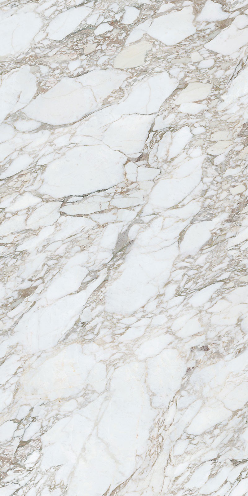 问鼎app官方下载