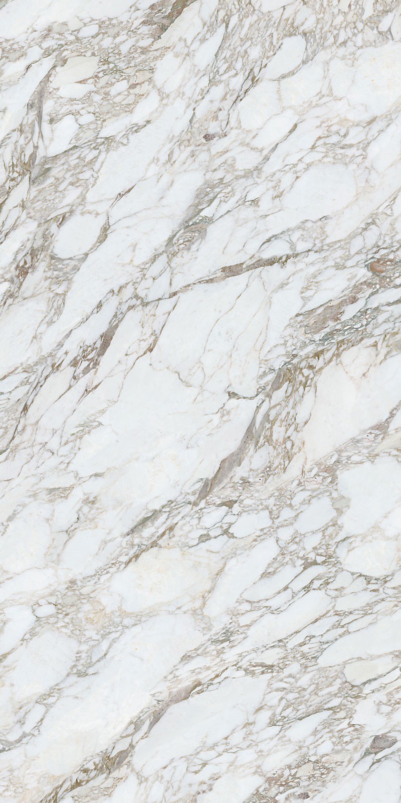 问鼎app官方下载