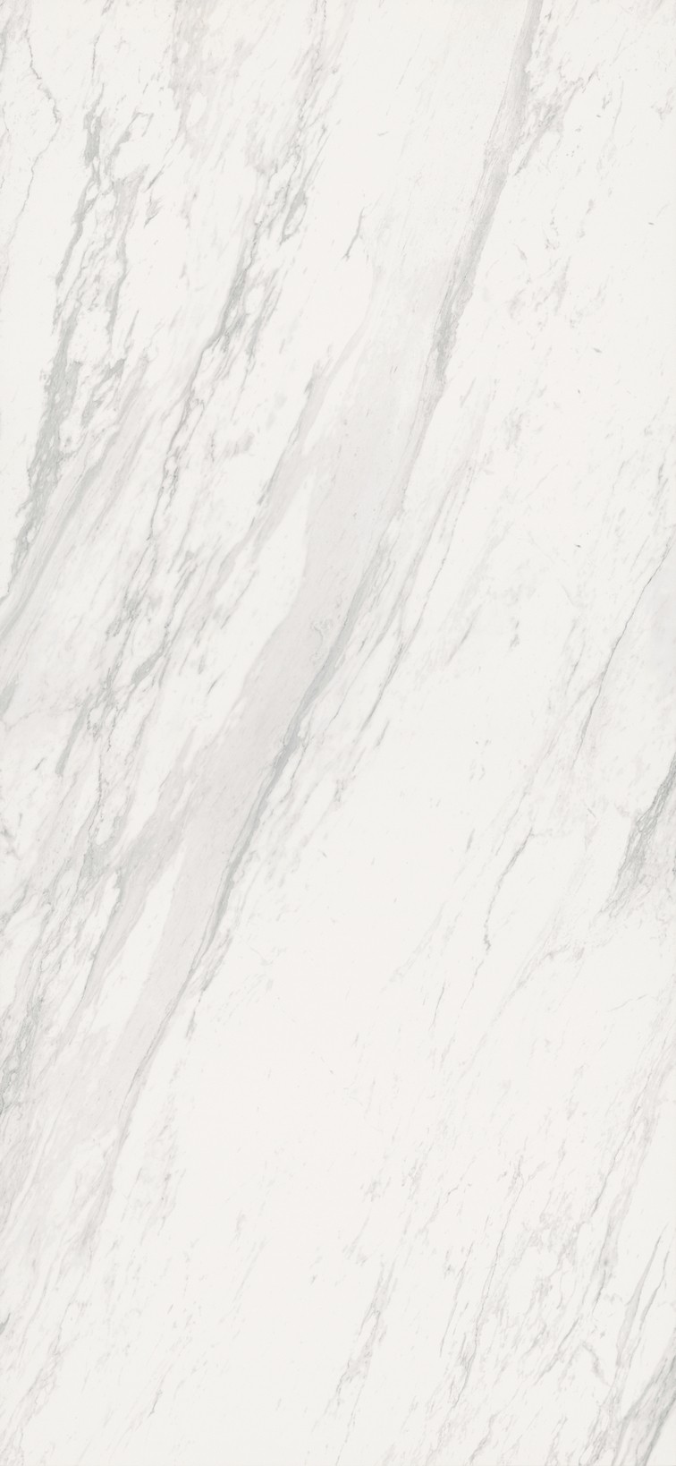 问鼎app官方下载