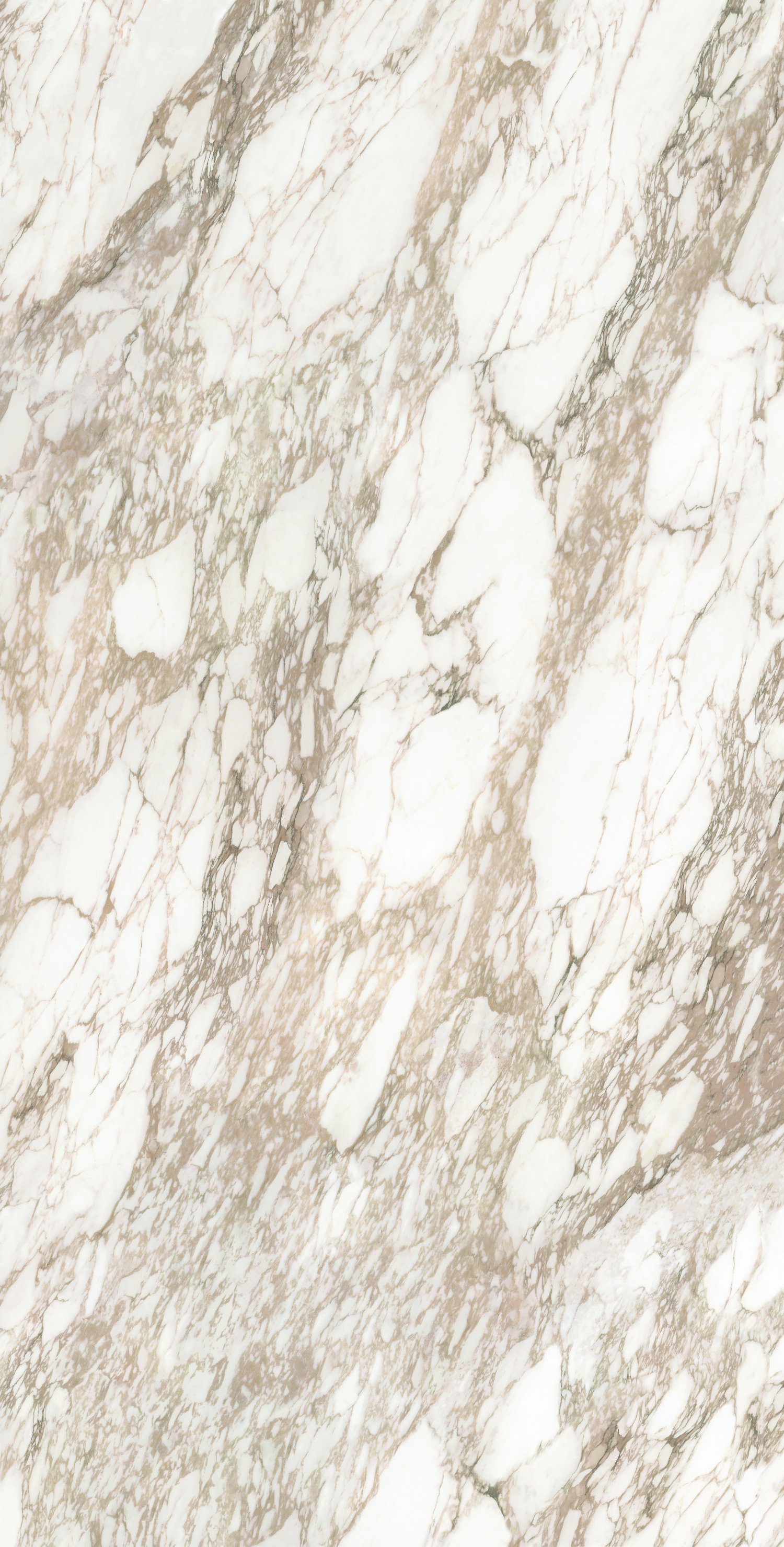 问鼎app官方下载