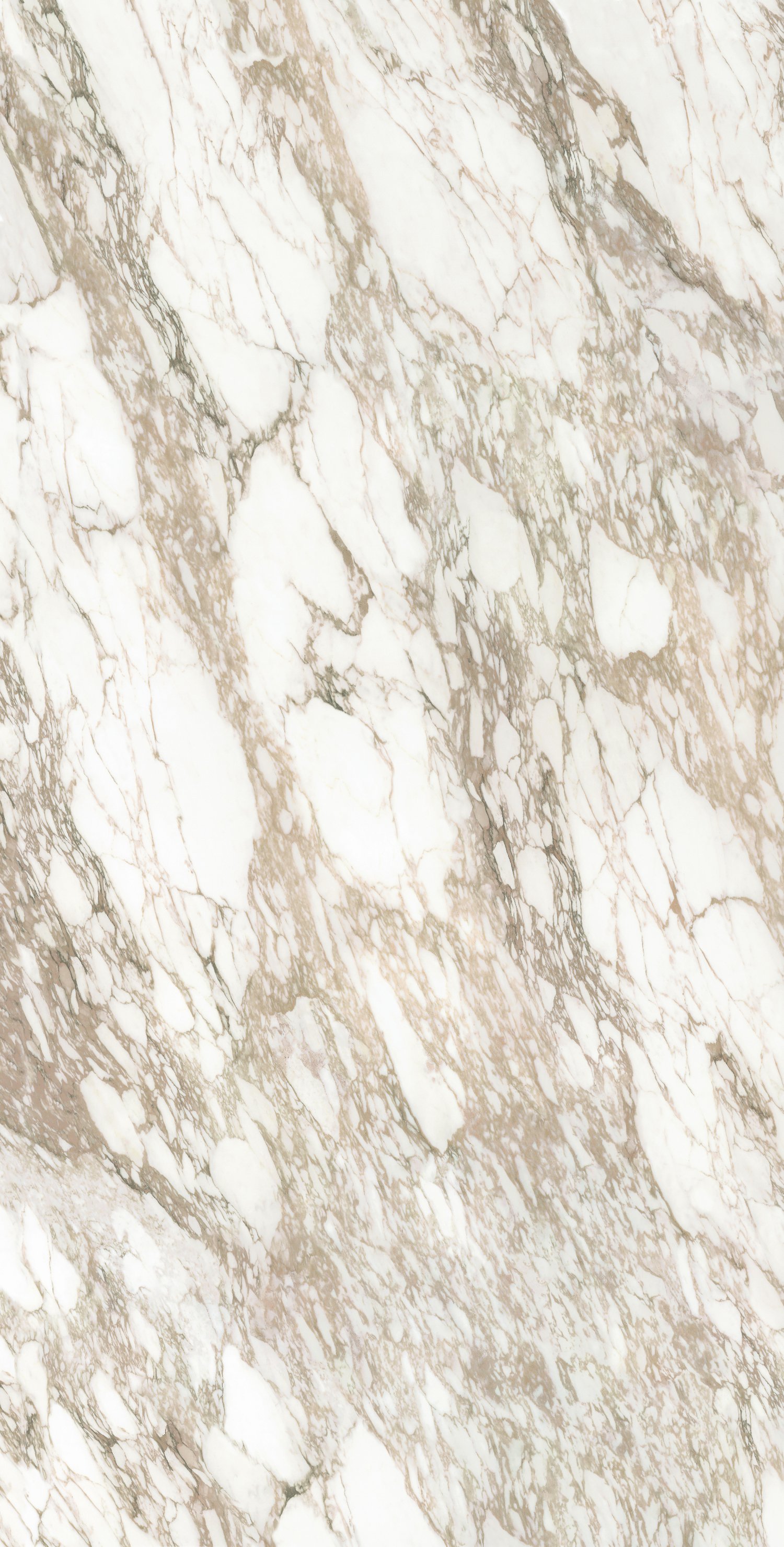 问鼎app官方下载