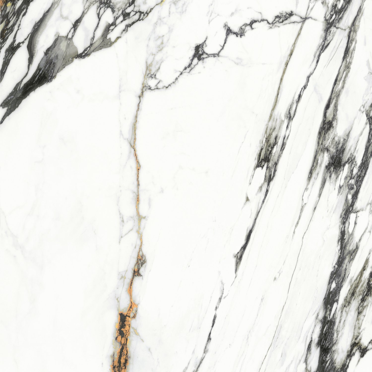 问鼎app官方下载