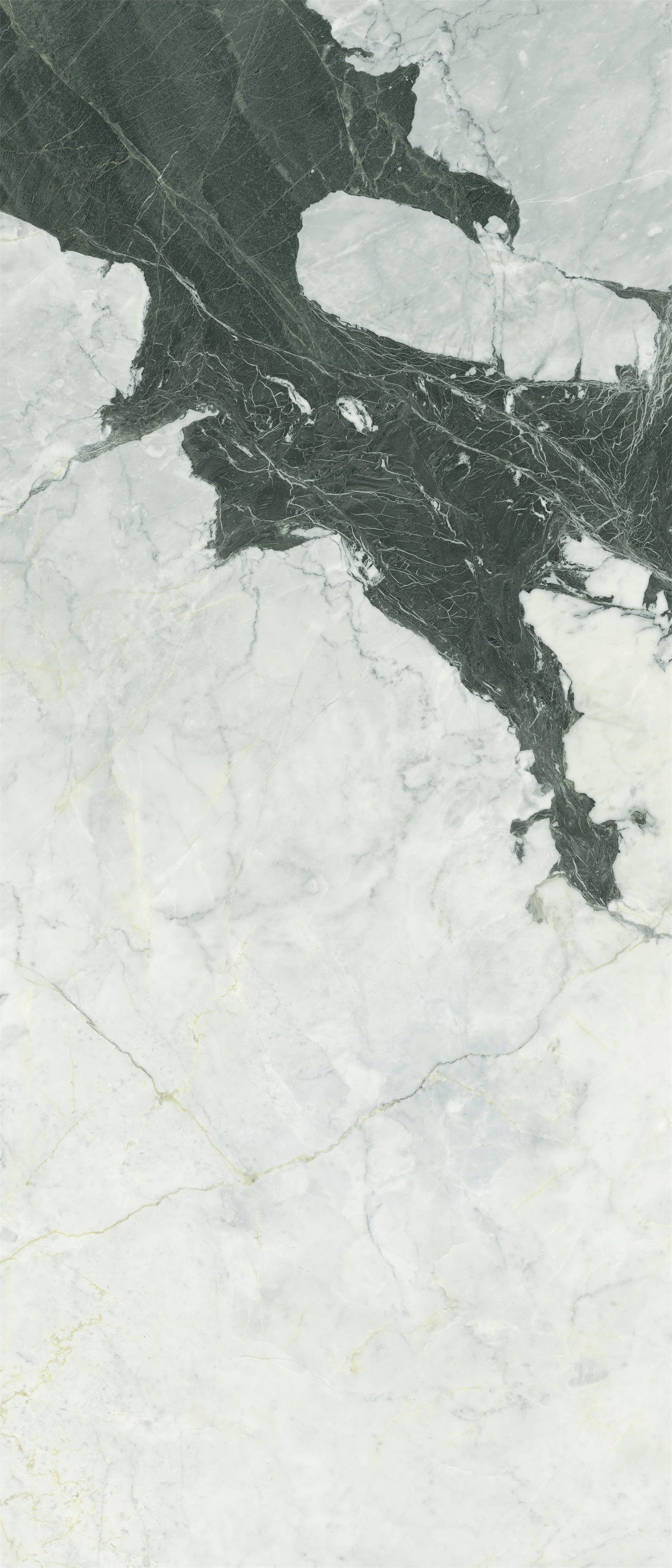 问鼎app官方下载