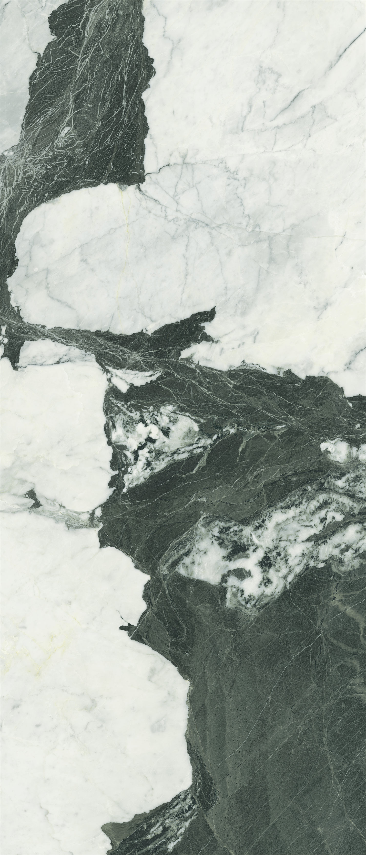 问鼎app官方下载