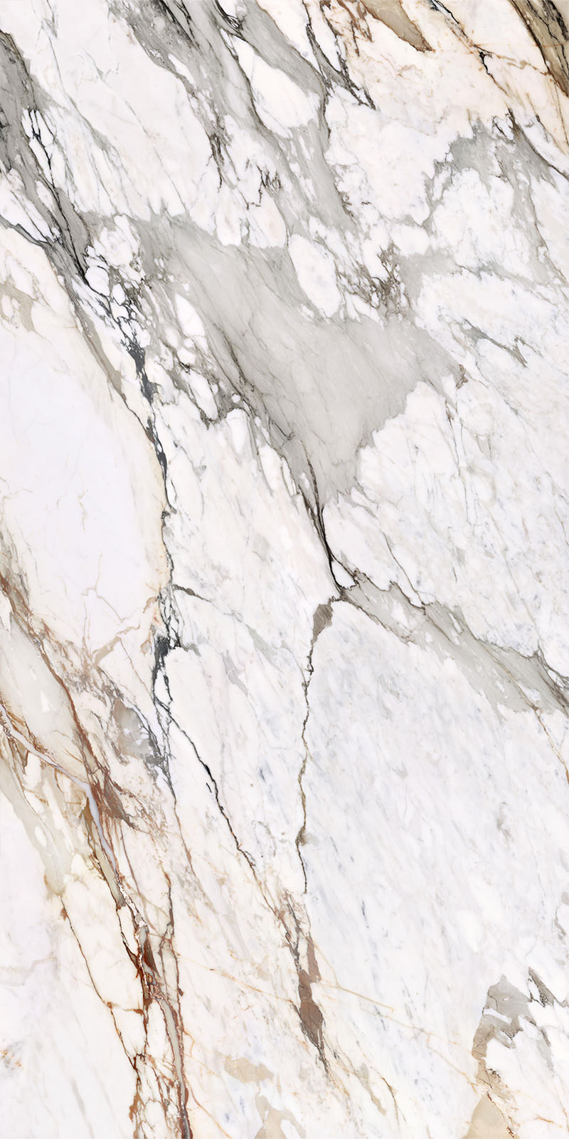 问鼎app官方下载