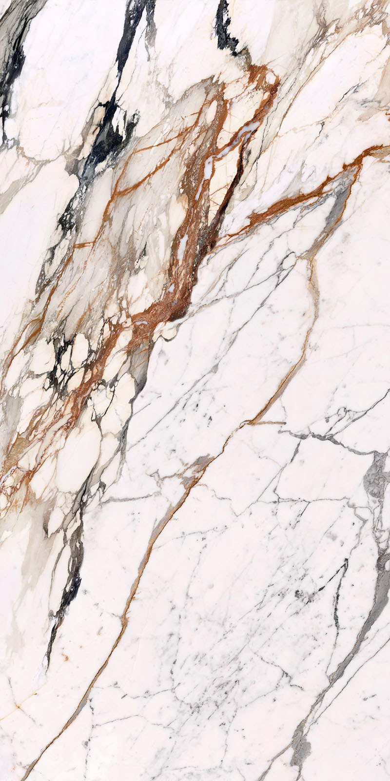 问鼎app官方下载